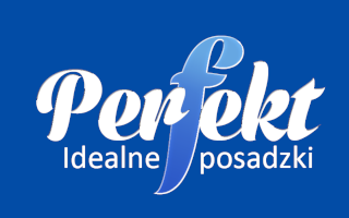 Logo firmy Perfekt